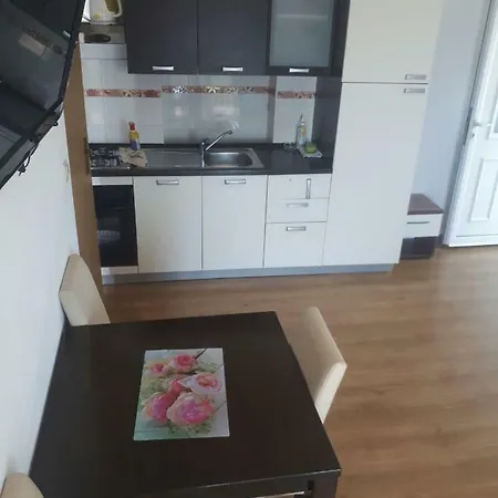 Apartment Ivana *